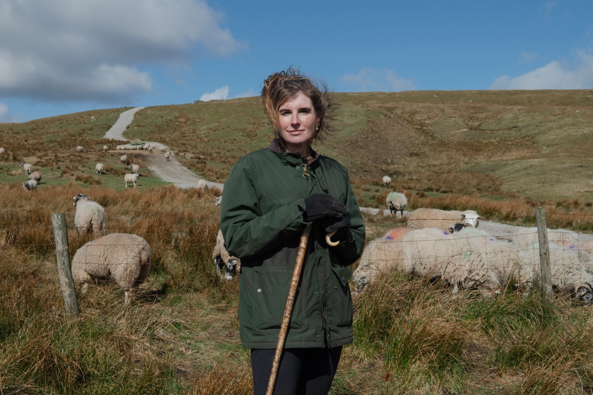 Premier Inn Ewe Tube Amanda Owen Fotor